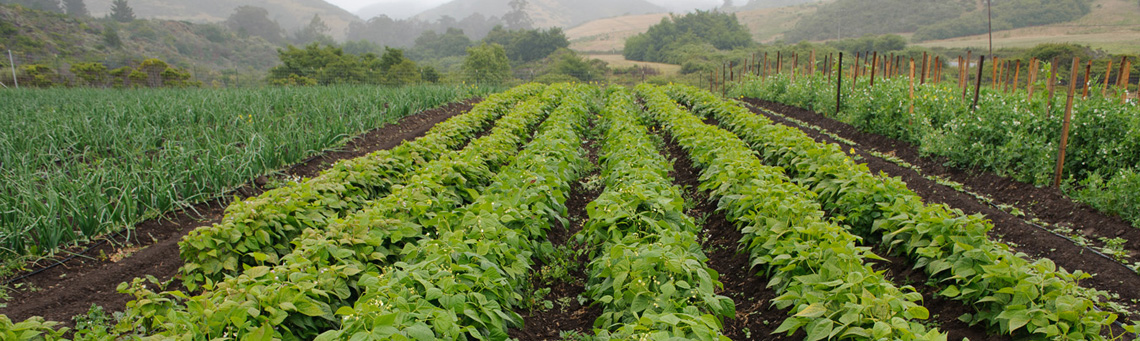 awesome travel agriculture